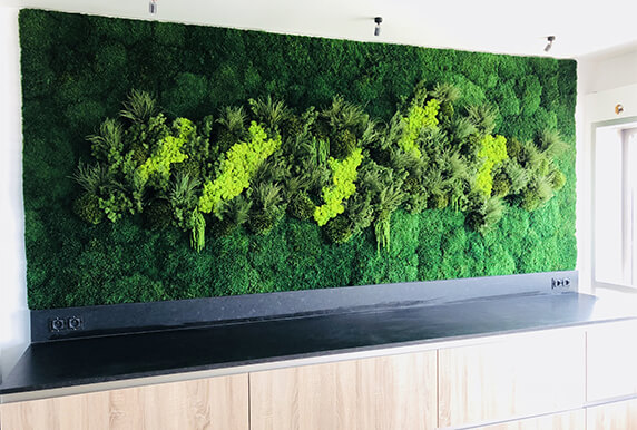 Mur végétal composé de végétaux naturalisés sans entretien.